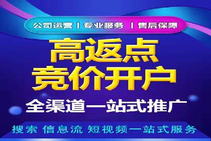 百度包年竞价策略调整与效果评估案例